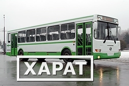 Фото Городские автобусы МАЗ, ЛиАЗ, НЕФАЗ, HIGER