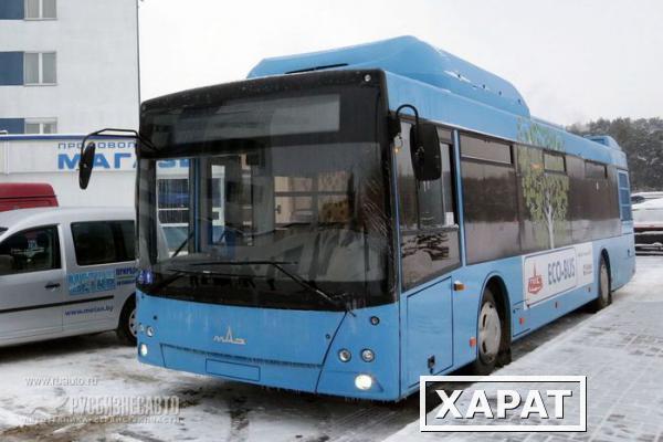 Фото Городской автобус МАЗ 203965
