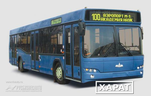 Фото Городской автобус МАЗ 103464