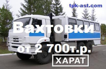 Фото Продажа вахтовых и грузопассажирских автобусов НЕФАЗ-4208 и НЕФАЗ-42111: