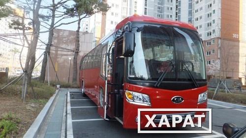 Фото Продается туристический автобус KIA GranBird ParkWay, 2013 год