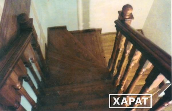 Фото Лестницы из массива дерева