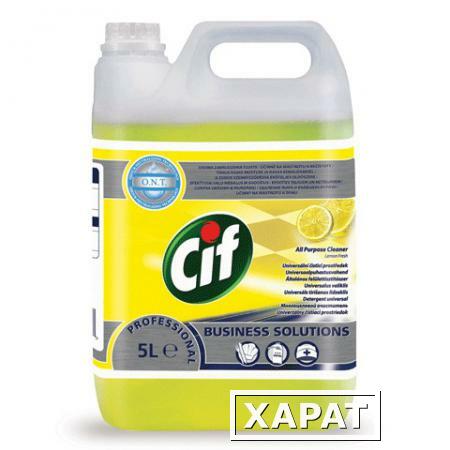 Фото Чистящее средство CIF (Сиф) "Professional", 5 л, универсальное, для мытья полов и стен