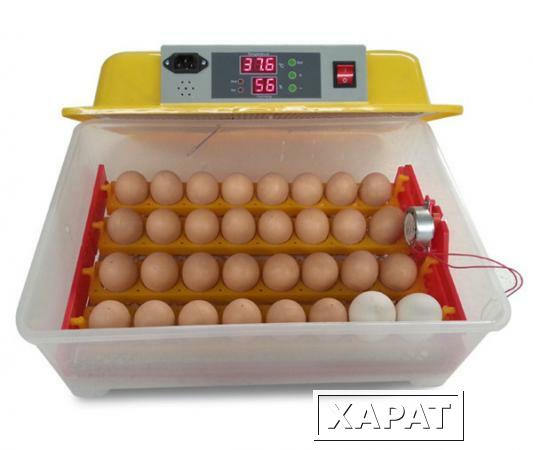 Фото Инкубатор на 32 яйца ECO-32