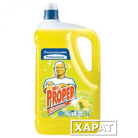 Фото Средство для мытья пола MR. PROPER (Мистер Пропер), 5 л