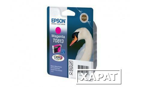 Фото Расходные материалы Epson C13T11134A10