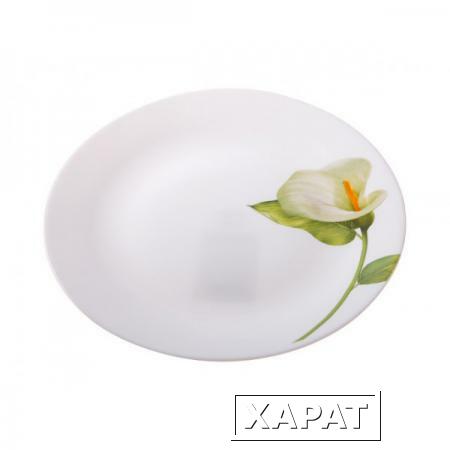 Фото Тарелка обеденная стеклокерамическая, 267 мм, круглая, серия Белая калла, DIVA LA OPALA (Collection Ivory) (13-126726)