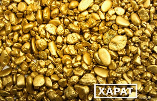 Фото Продам месторождение россыпного золота, Чукотка