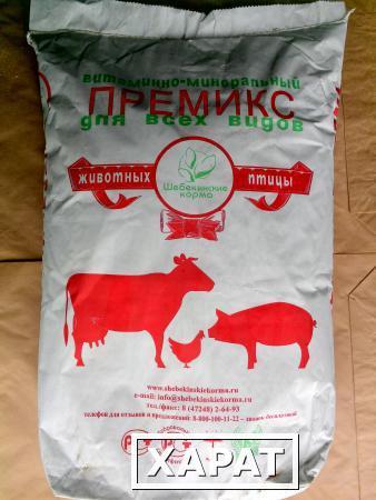 Фото Премиксы ГОСТ П 60-4 для высокопродуктивных коров в пастбищный период