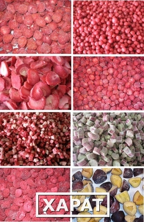 Фото Продаем оптом фрукты, ягоды замороженные