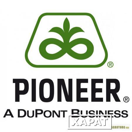 Фото Гибриды семян подсолнечника Пионер (Pioneer)