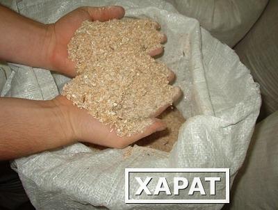 Фото Продам отруби пшеничные, пушные и гранула