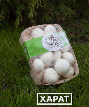 Фото Корзинка для упаковки грибов (буковый шпон)
