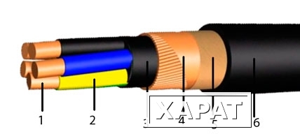 Фото Кабель ВВГЭ 3х6-1