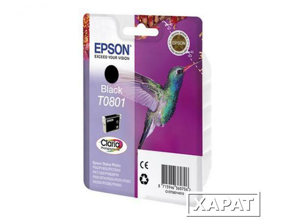 Фото Epson T0801