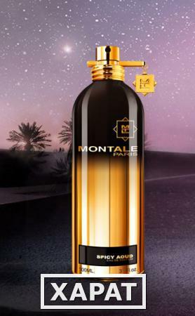 Фото Montale Spicy Aoud Montale Spicy Aoud 50 ml