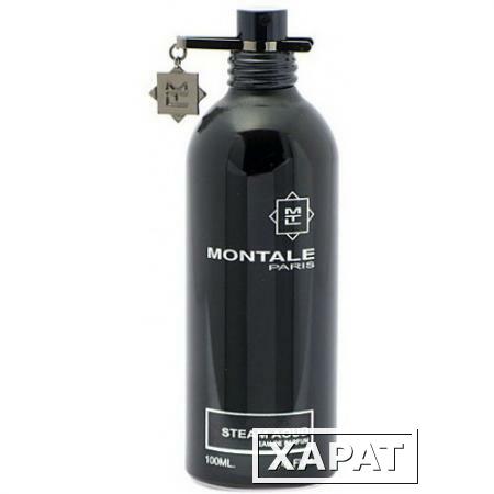 Фото Montale Steam Aoud Montale Steam Aoud 50 ml