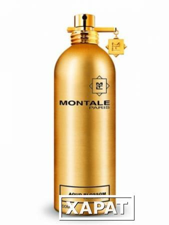 Фото Montale Aoud Blossom Montale Aoud Blossom 50 ml