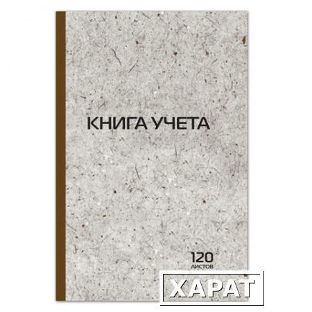 Фото Книга учета 120 л., А4, 200х290 мм, STAFF, клетка, обложка твердая, блок типографский, справочная инфрмация