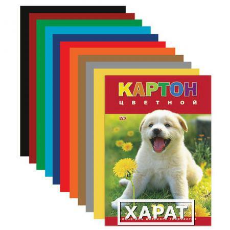 Фото Цветной картон, А4, 195х290 мм, HATBER VK, мелованный, 10 листов, 10 цветов, "Белый щенок"