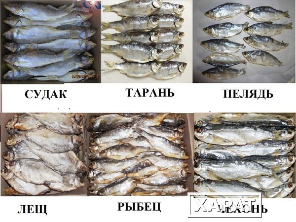 Фото Рыба вяленая, рыба сушеная, сушёные морепродукты, мясо, орехи, весовые снеки, закуски к пиву