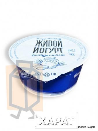 Фото Йогурт "Живой" натуральный 2,5% 150г стакан (г. Козельск, Россия)