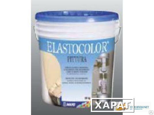 Фото ELASTOCOLOR