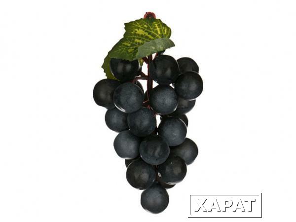 Фото Муляж "виноград" 5*3*13 см. без упаковки Polite Crafts&amp;gifts (578-129)