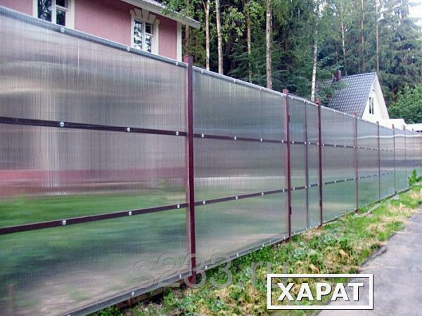 Фото Забор из сотового поликарбоната 10 мм. Сплошной забор высотой 2 м.
