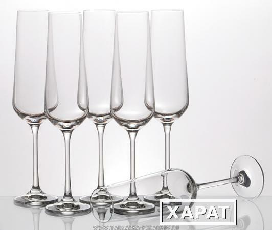Фото Набор бокалов для шампанского из 6 шт, сандра 200 мл, .высота 25 см,
