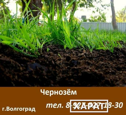Фото Чернозем / грунт плодородный / удобрение