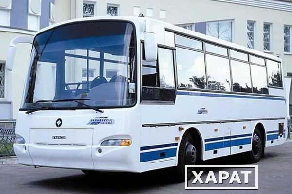 Фото Перевозка пассажиров. Аренда автобуса паз-4230 аврора, 31 место в Нижнем Тагиле и Свердловской области