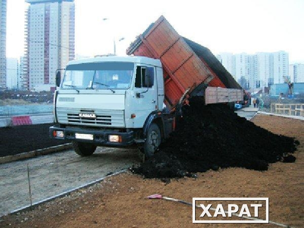 Фото Чернозём-грунт растительный с доставкой.