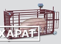 Фото ВП-ЖК Весы платформенные с подвесной клеткой для взвешивания животных