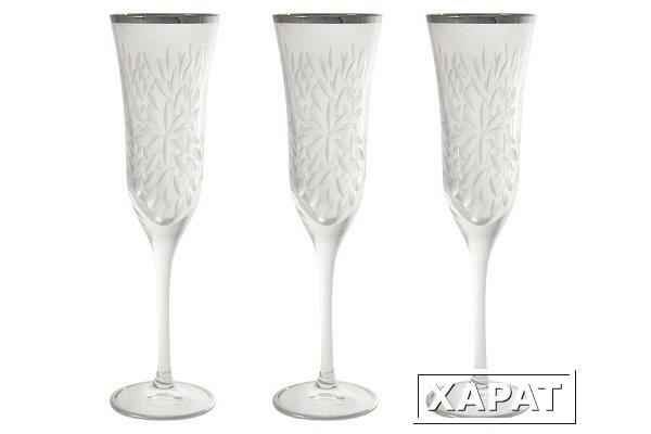 Фото Набор: 6 хрустальных бокалов для шампанского Умбрия Матовая - платина Same ( SM3552_844FP-AL )