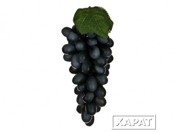 Фото Муляж "виноград" 10*5*20 см. без упаковки Polite Crafts&amp;gifts (578-119)