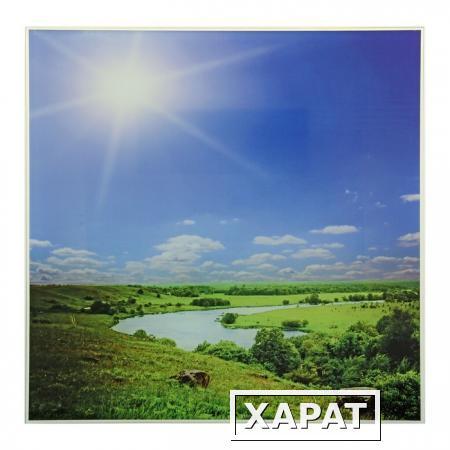 Фото Картины PRORAB Картина 30х30см 3-06-049 1136292