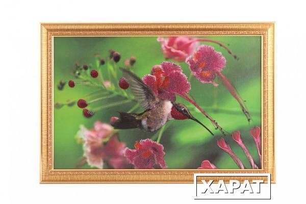 Фото Картина колибри, стразы,55х35см (562-037-28)