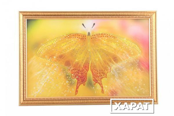 Фото Картина бабочка желтая, стразы, 55х35см (562-019-28)