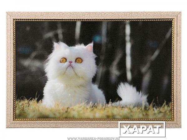 Фото Картина персидская кошка 40х25см,