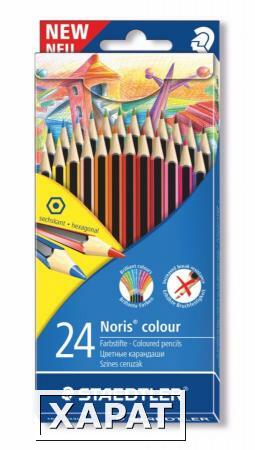 Фото Карандаш цветной. Noris Colour, набор 24 цвета, Wopex, картонная упаковка, 2 ряда карандашей