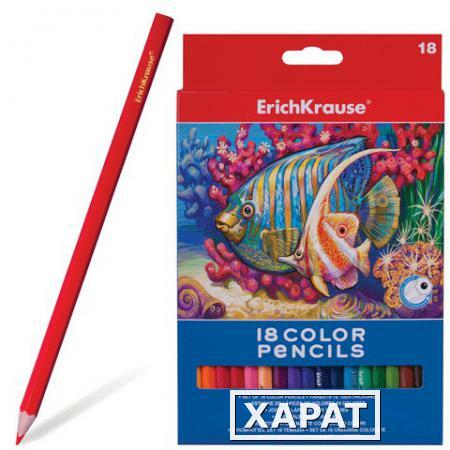 Фото Карандаши цветные ERICH KRAUSE, 18 цветов, картонная упаковка с европодвесом