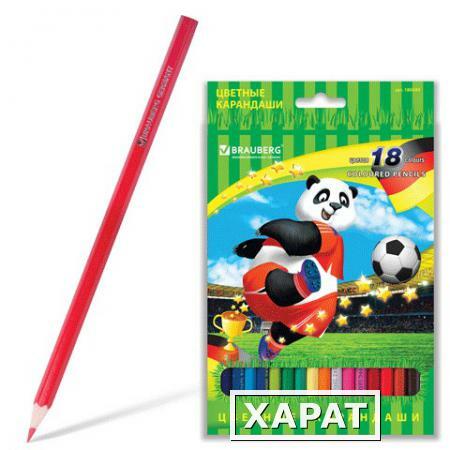 Фото Карандаши цветные BRAUBERG (БРАУБЕРГ) "Football match", 18 цветов, заточенные, картонная упаковка