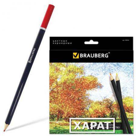 Фото Карандаши цветные BRAUBERG (БРАУБЕРГ) "Artist line", 24 цвета, черный корпус, заточенные, высшее качество