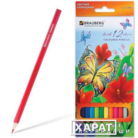 Фото Карандаши цветные BRAUBERG (БРАУБЕРГ) "Wonderful butterfly", 12 цветов, заточенные, картонная упаковка с блестками