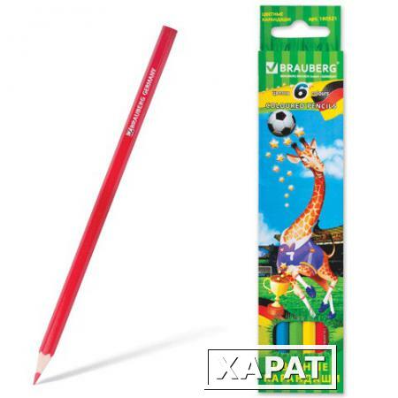Фото Карандаши цветные BRAUBERG (БРАУБЕРГ) "Football match", 6 цветов, заточенные, картонная упаковка