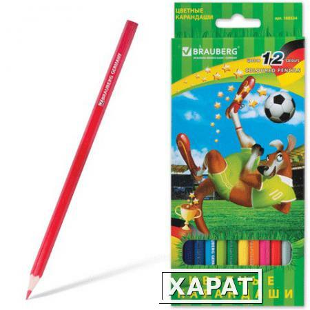 Фото Карандаши цветные BRAUBERG (БРАУБЕРГ) "Football match", 12 цветов, заточенные, картонная упаковка