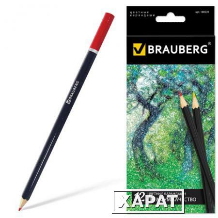 Фото Карандаши цветные BRAUBERG (БРАУБЕРГ) "Artist line", 12 цветов, черный корпус, заточенные, высшее качество