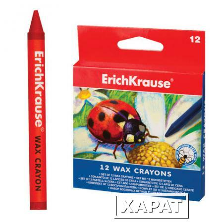 Фото Восковые карандаши ERICH KRAUSE, 12 цветов, картонная упаковка с европодвесом