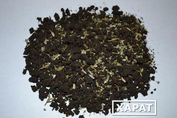 Фото Иван-чай черный с листом ежевики